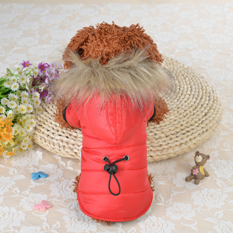 Pet light and warm cotton clothing