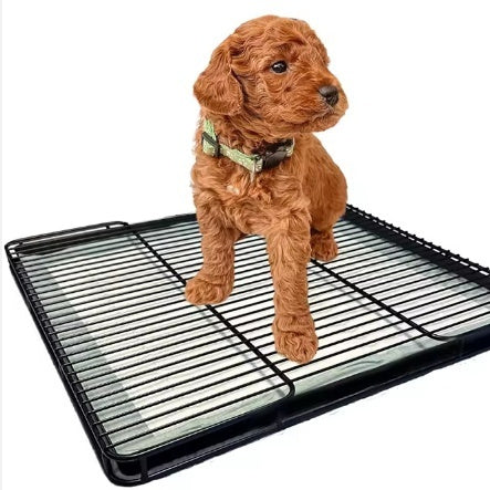 Dog Toilet To Prevent Stepping In Poop Pee And Poop Trays For Small