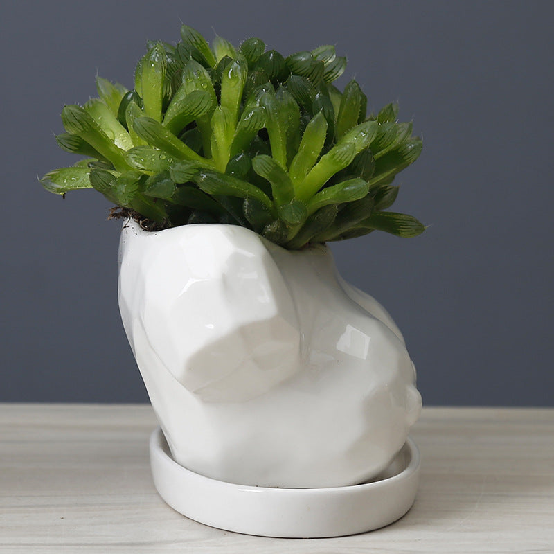 Cartoon Succulent Flower Pot Ceramic White Creative Abstract Body Art Floral