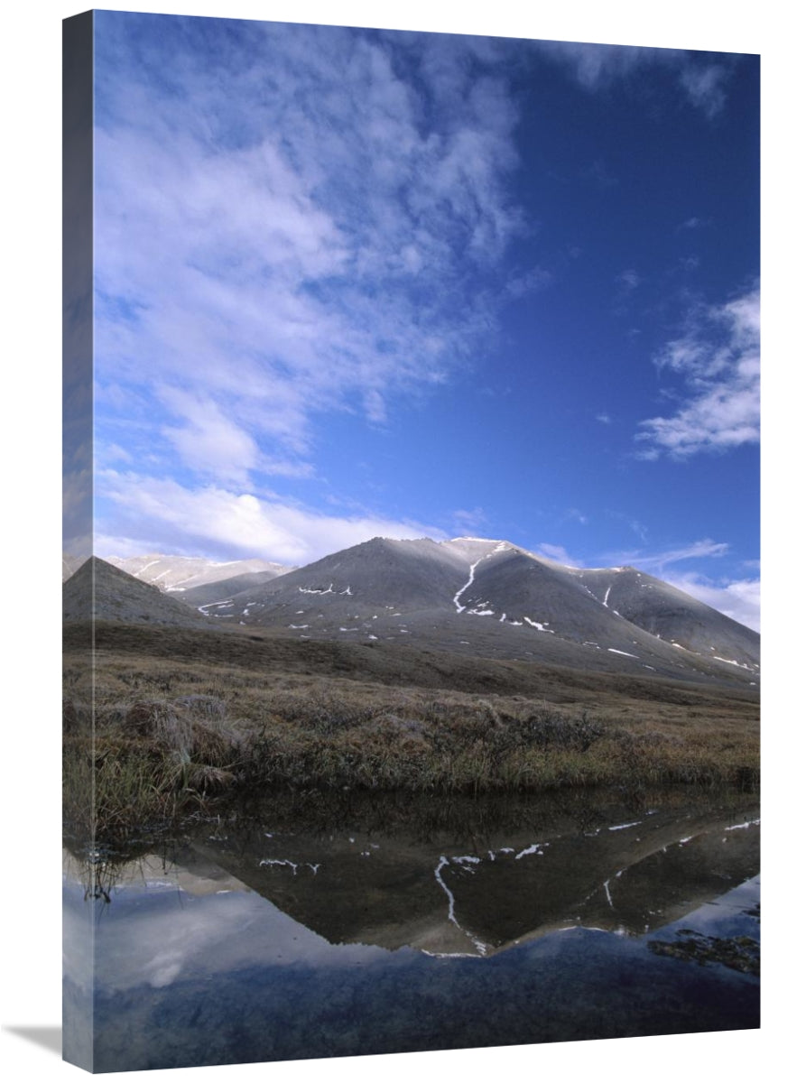Global Gallery GCS-452994-2030-142 20 x 30 in. Sadlerochit Mountains | Home Decor | Kitchen + Metal