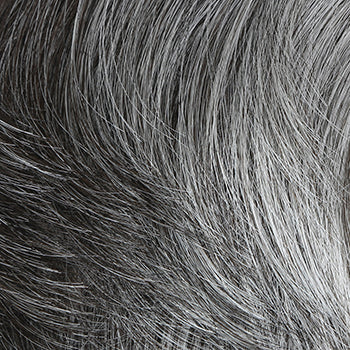 Gabor Dignified Him Collection Wig, M44S 50% Grey / Darkest Brown