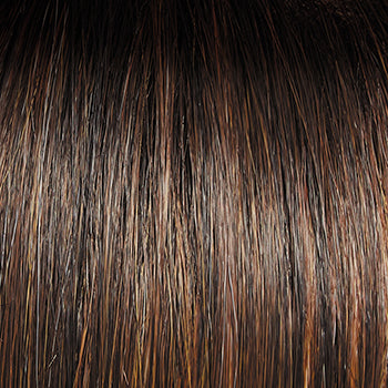 Raquel Welch On In 10! Wig, SS8/29 Hazelnut