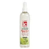 IC Fantasia Hair Polisher Spritz Super Hold oz