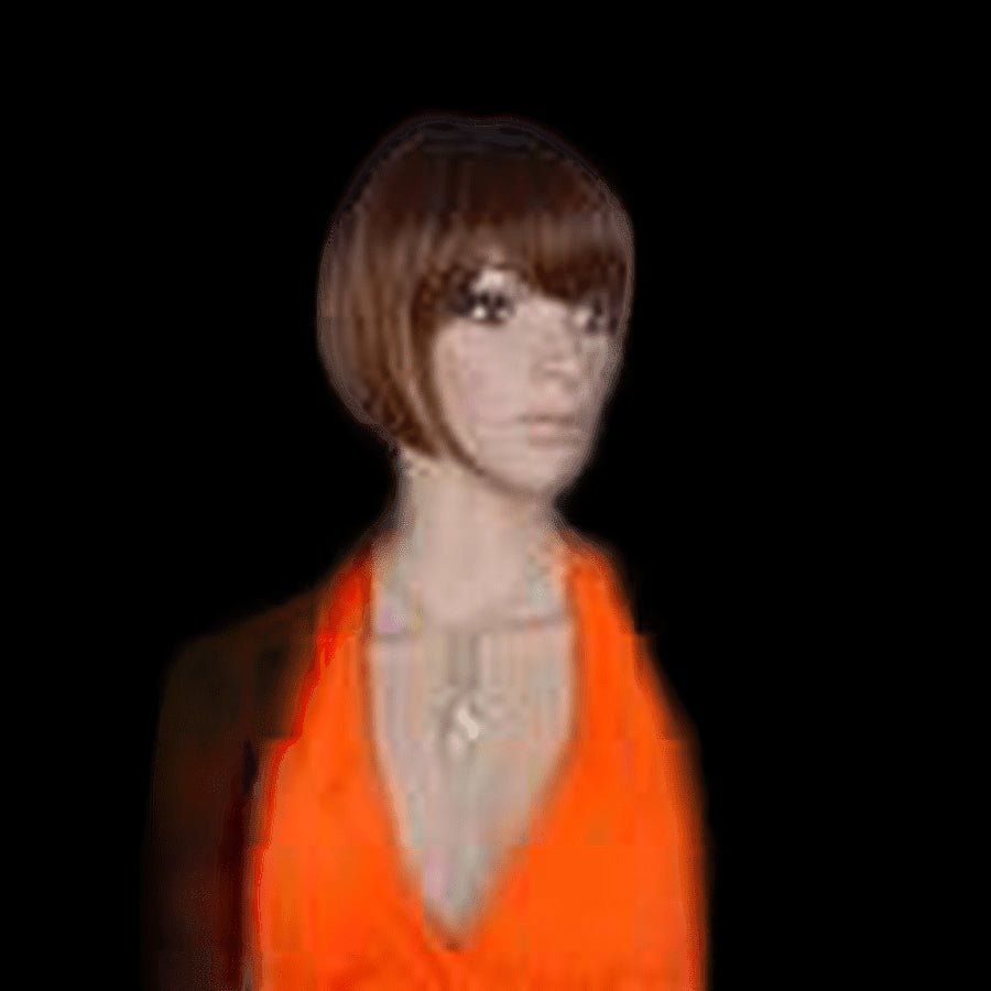 Pallet # 152 - Lot of Hair - variety of styles and colors