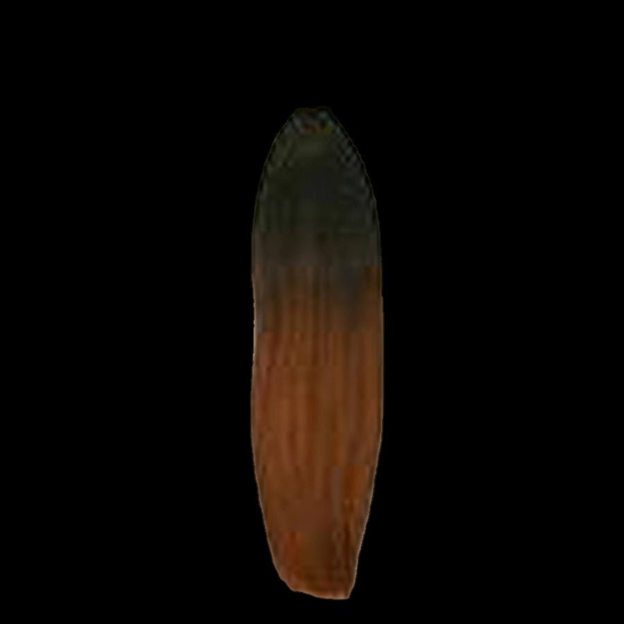 Pallet # 252 - Lot of Hair - variety of styles and colors