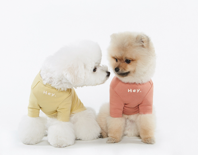 Casual Simple Printed T-Shirt for Pets