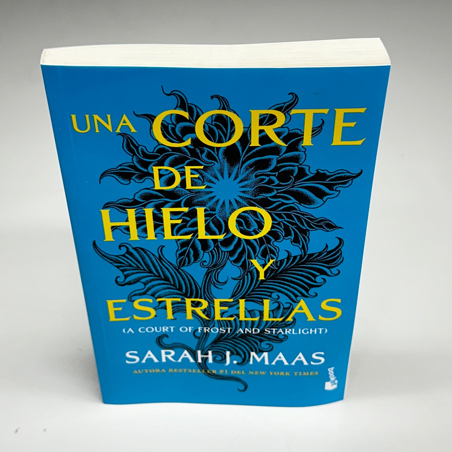 Una Corte De Hielo y Estrellas (Una Corte De Rosas y Espinas #4) (Spanish Edition)