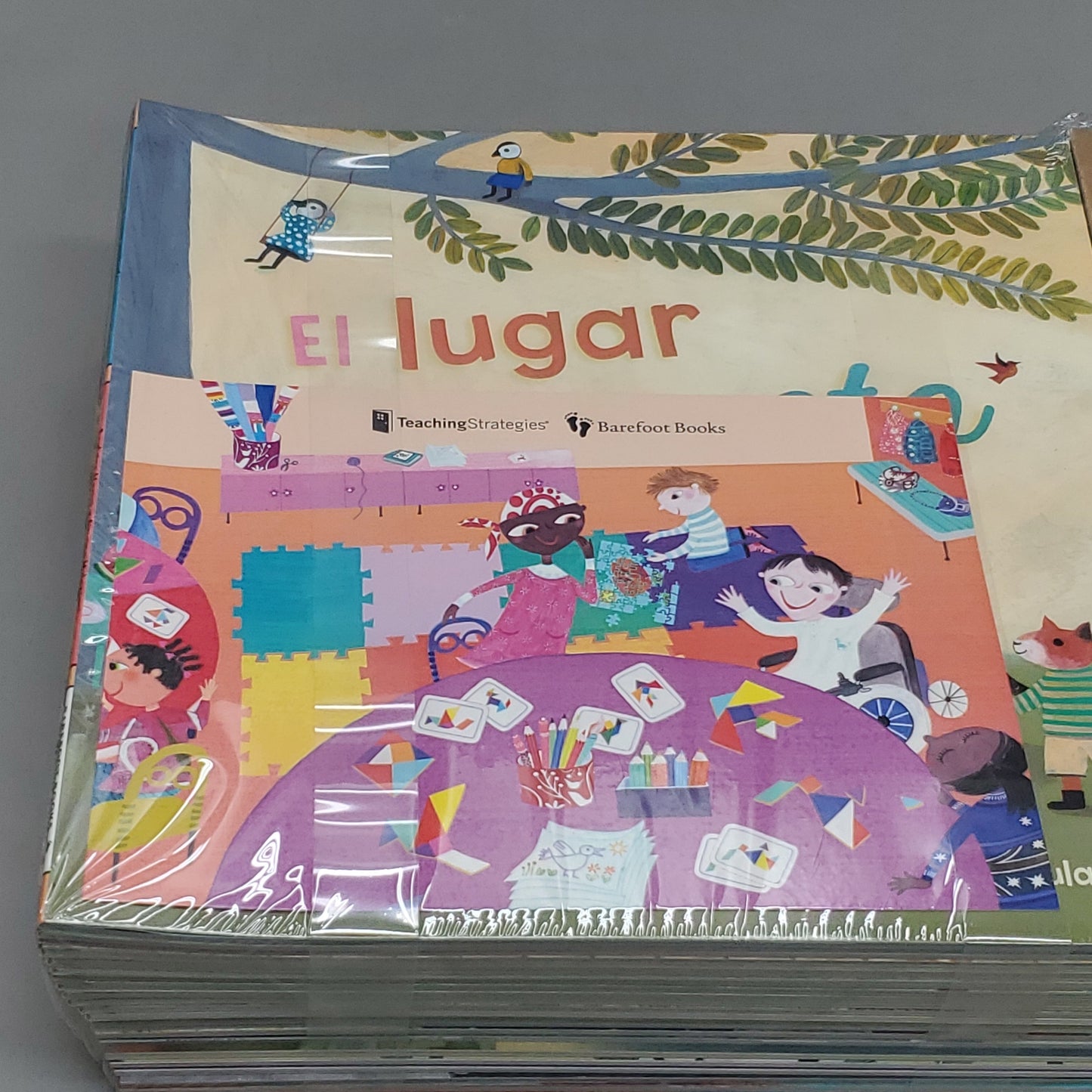 TEACHING STRATEGIES Barefoot Books Library Collection Pre-K Program Spanish TS35362  (New)