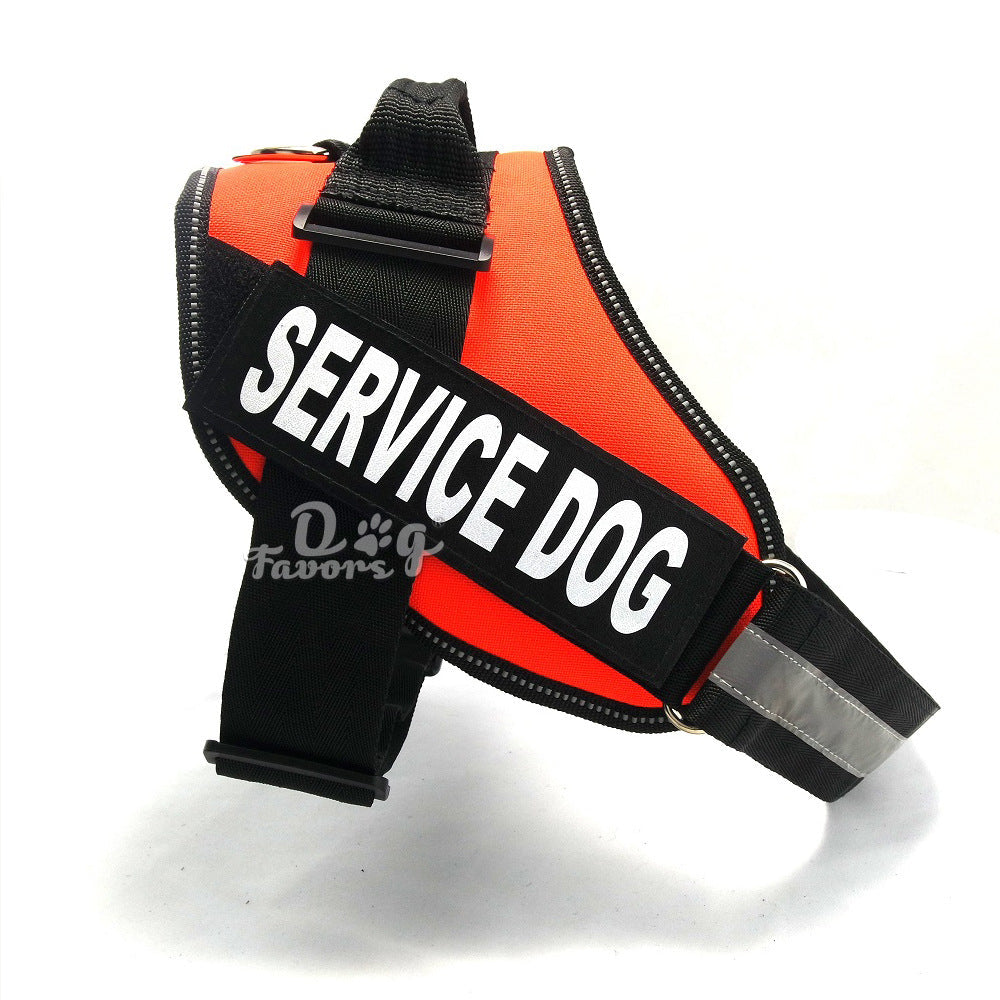 Chest strap