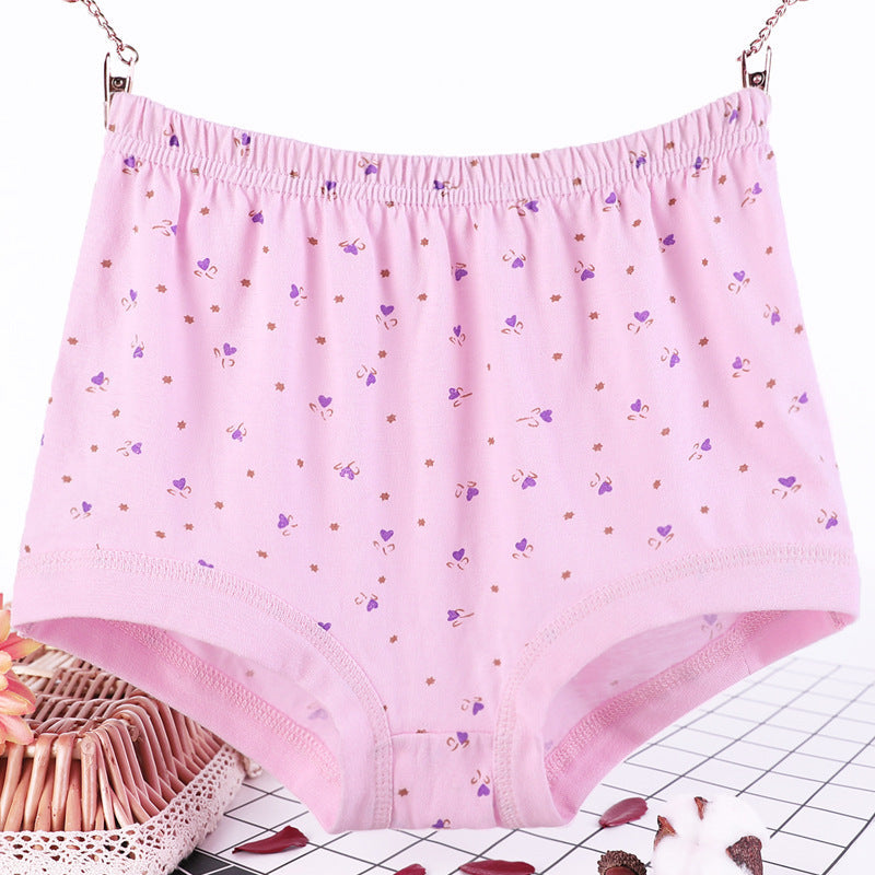 Plus size fat women briefs