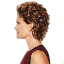 Gabor Au Naturel | Synthetic Lace Front Wig