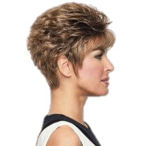 SPARKLE - Wig by Raquel Welch