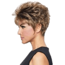 SPARKLE - Wig by Raquel Welch