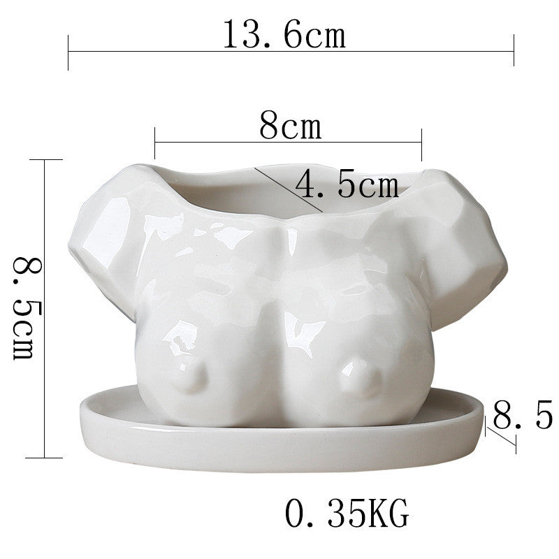Cartoon Succulent Flower Pot Ceramic White Creative Abstract Body Art Floral