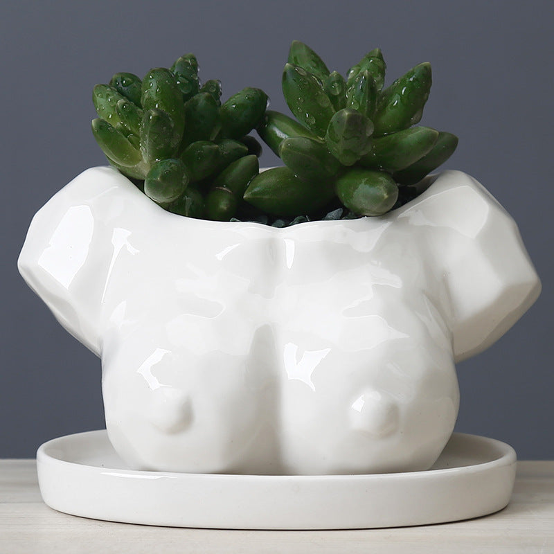 Cartoon Succulent Flower Pot Ceramic White Creative Abstract Body Art Floral