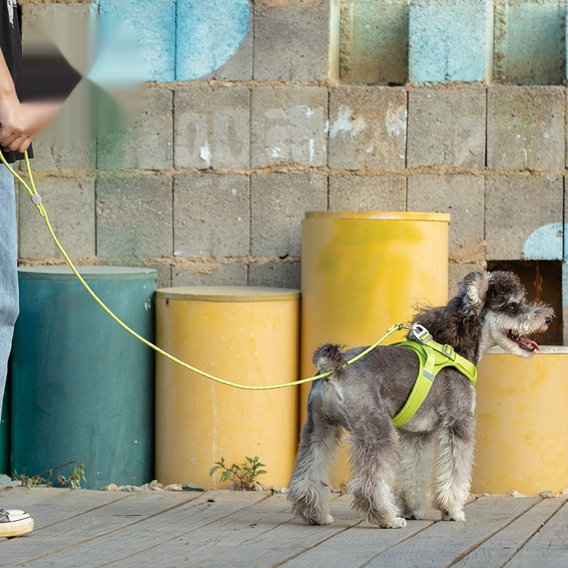 Colorful Color Sliding Adjustable Pet Leash