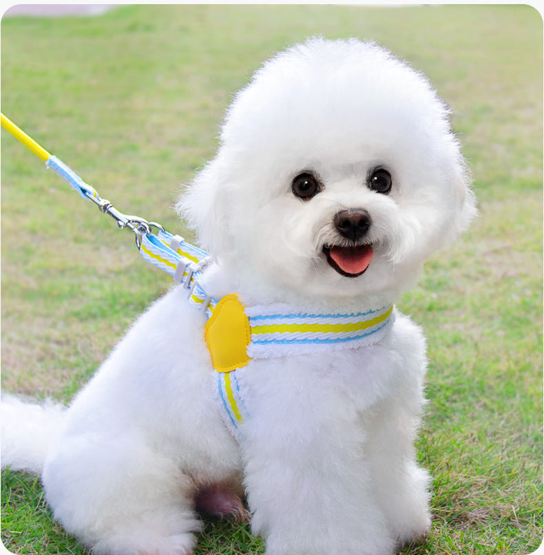 Dog Leash Summer Breathable Corgi Shiba Inu Bichon Chest Vest Walking Dog Leash Small And Medium-sized Dog Pet Supplies