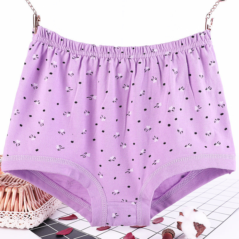 Plus size fat women briefs