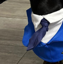 Dachshund Dog Funny Clothes Halloween Suit