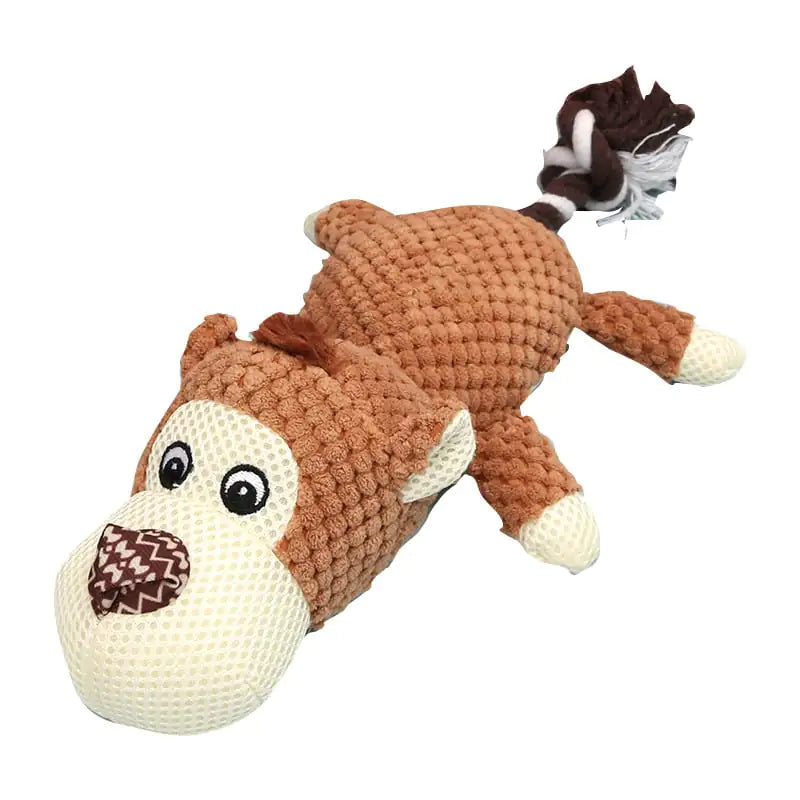 Style Loft Collection Softy Dental Care Chewy