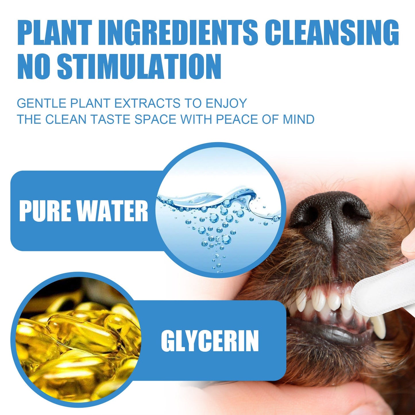 Pet Dental Finger Wipes, Bad Breath Tartar Teeth Yellow Dog Clean Mouth Care Finger Cover