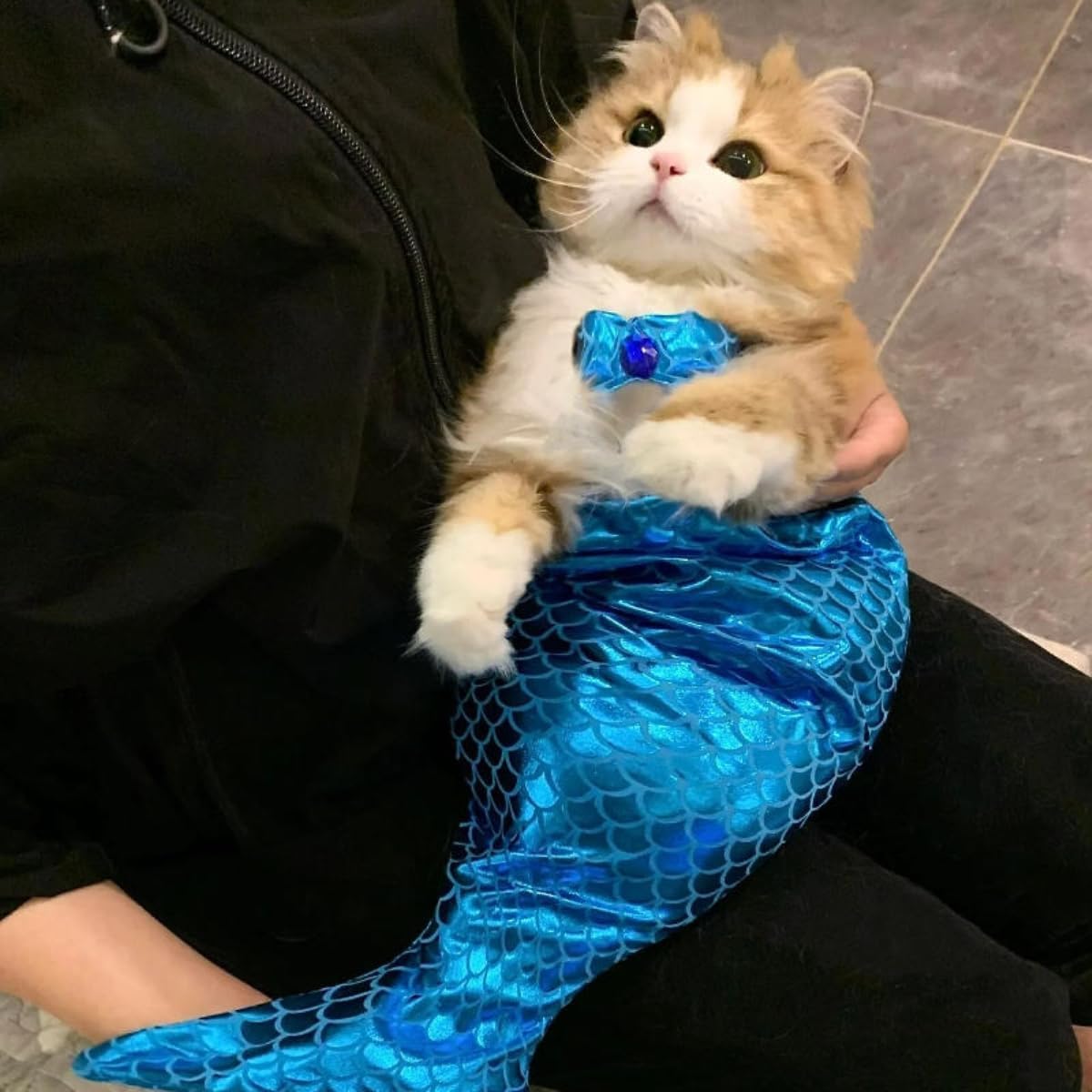 Cat Mermaid Costume Creative Cat And Dog Costumes Funny Cat Mermaid Costume Cat Mermaid Fishtail Dress Puppy Mermaid Fishtail Dress Pet Mermaid Costume Humor Funny Photo Props