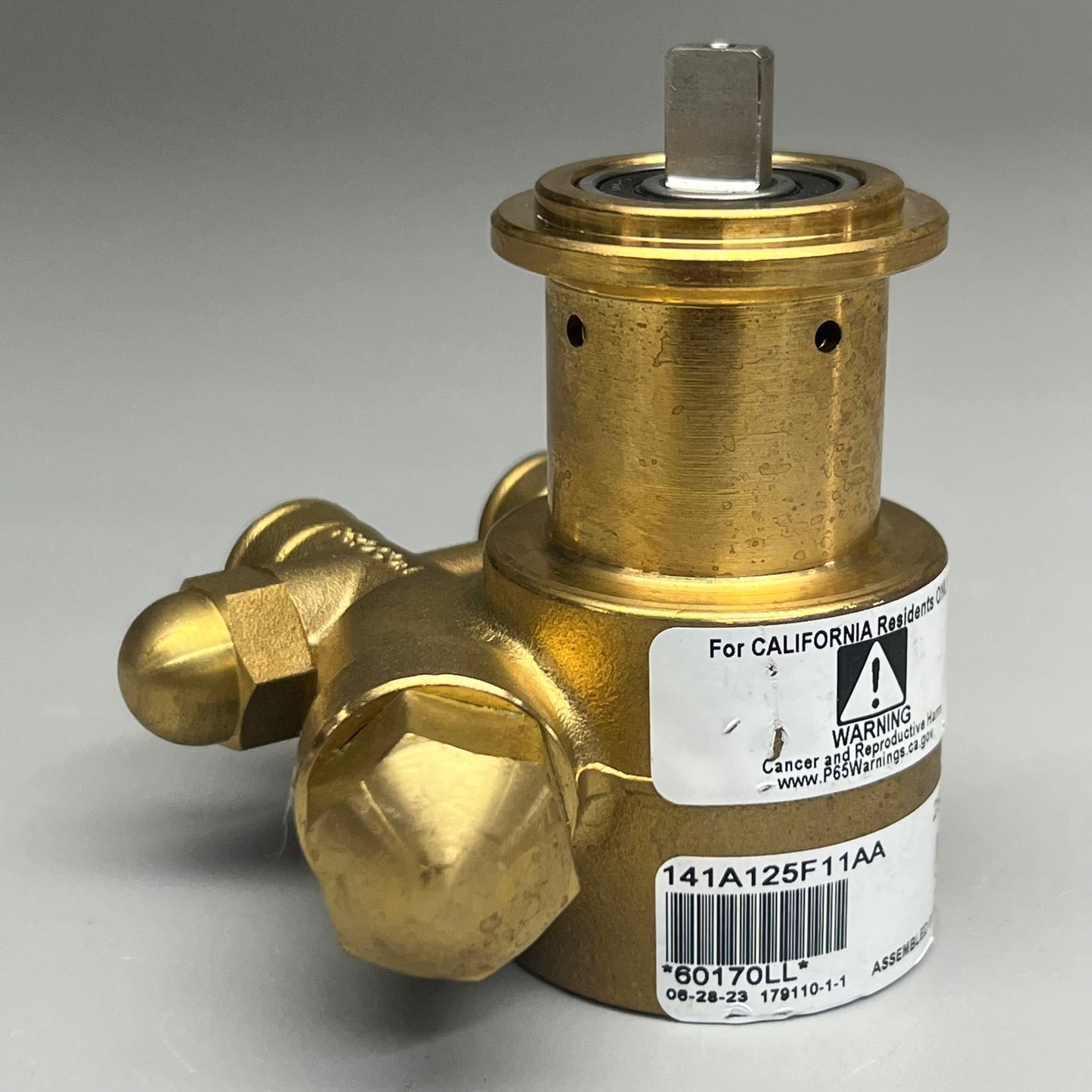 PROCON Rotary Vane Pump Brass Valves 141A125F11AA 250 PSI 60170LL SST 1046-2 BTS LL4