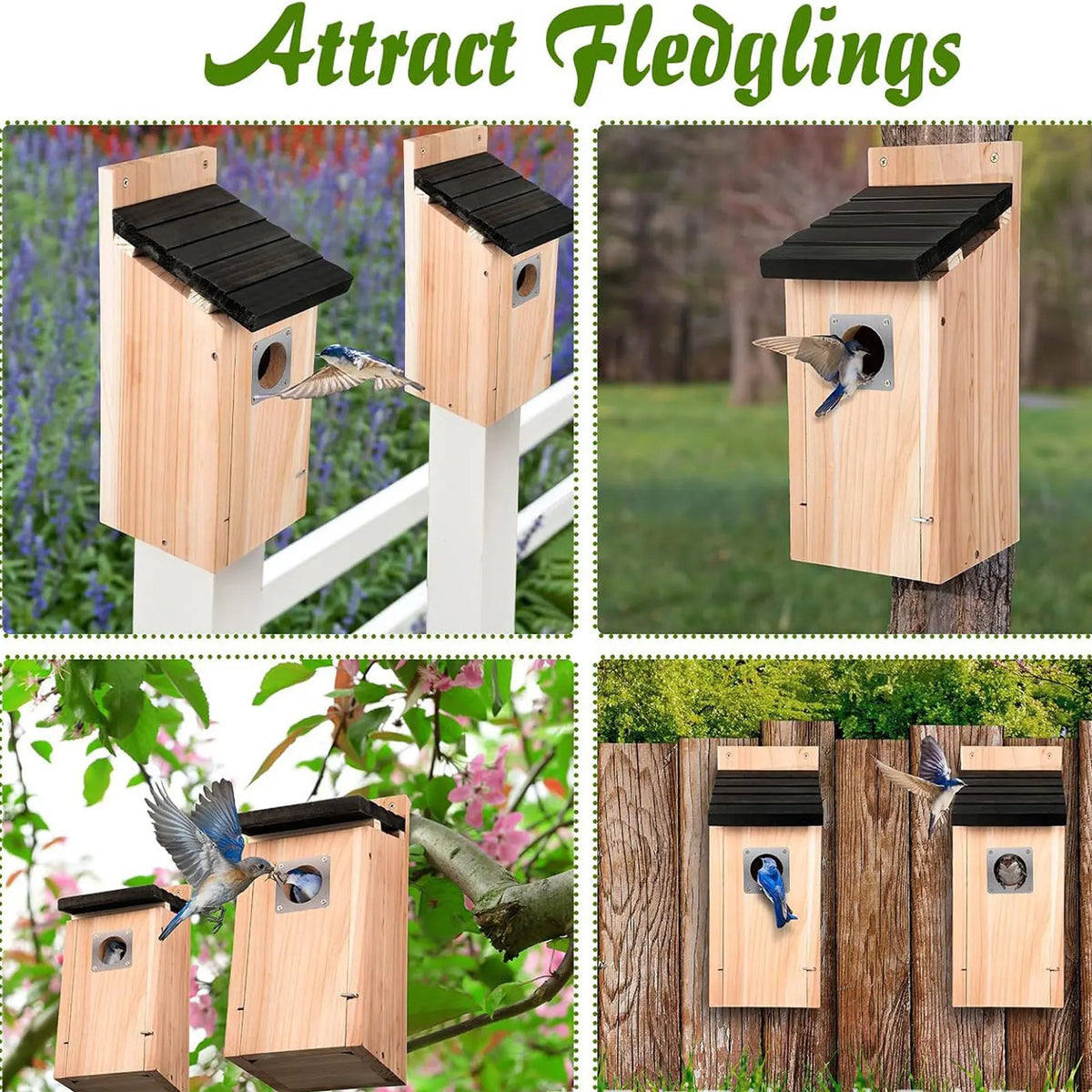 Bird House Wood Hanging Nesting Box Sheltered Warm Place Outside Bluebird Viewing House Feeder for Pet Supplies Patio Small Bird