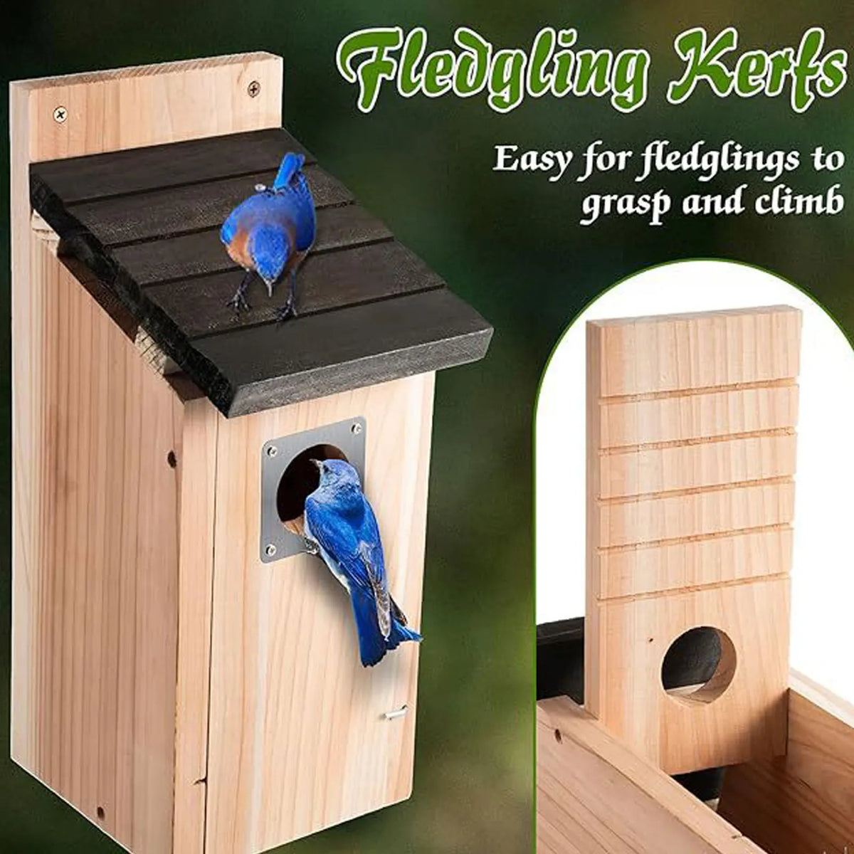 Bird House Wood Hanging Nesting Box Sheltered Warm Place Outside Bluebird Viewing House Feeder for Pet Supplies Patio Small Bird