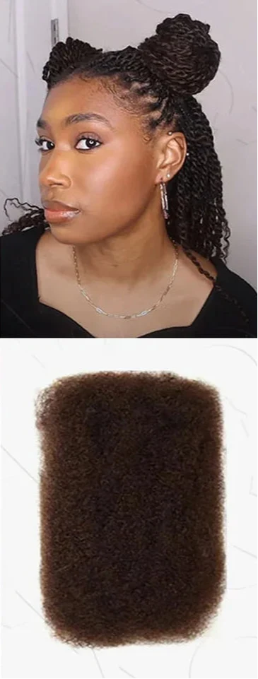 Rebecca Afro Kinky Bulk Human Hair for Braiding | Remy Virgin Brazilian Extensions (Multi-Color)