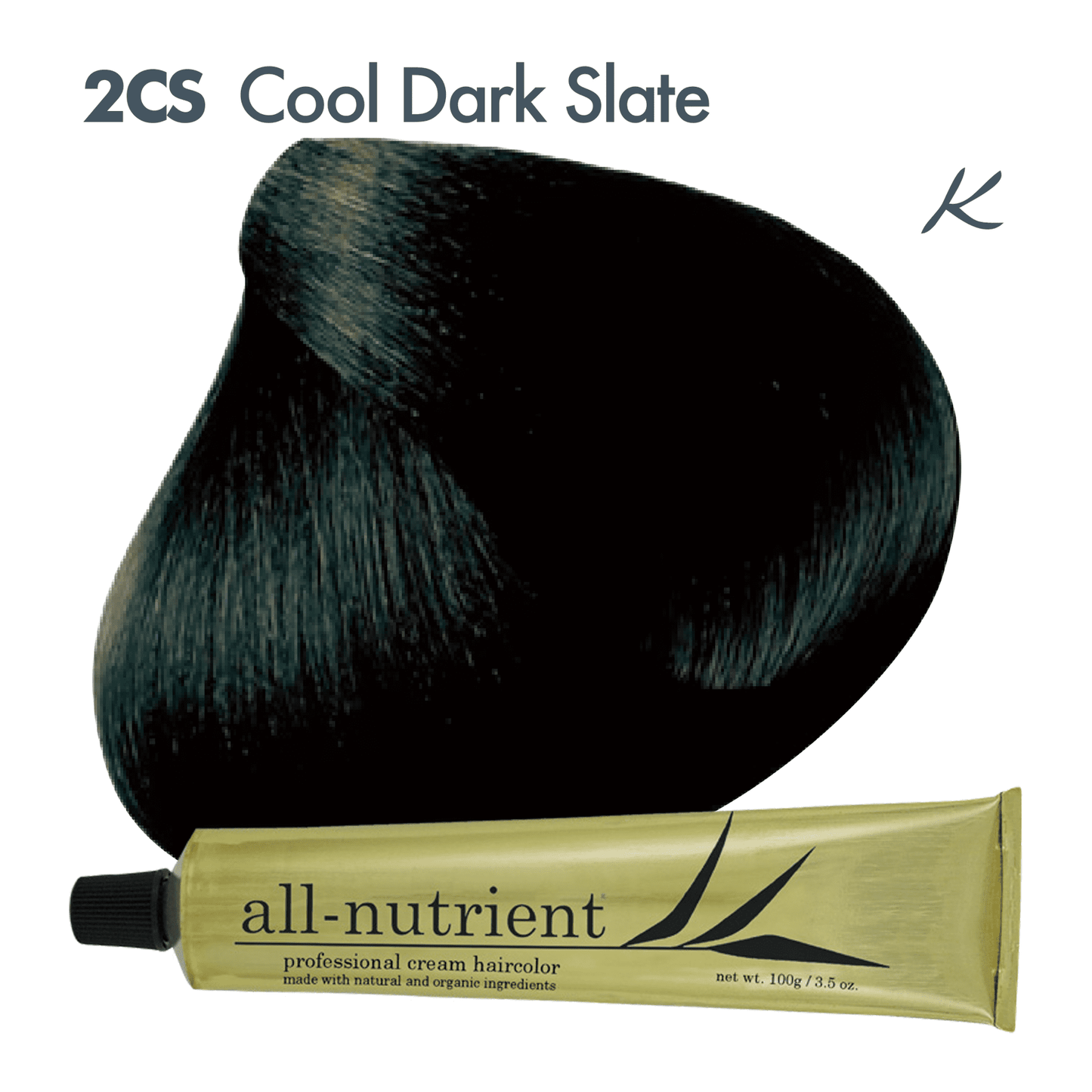 All-Nutrient Professional Cream Hair Color 6R Ruby Red 3.5 oz