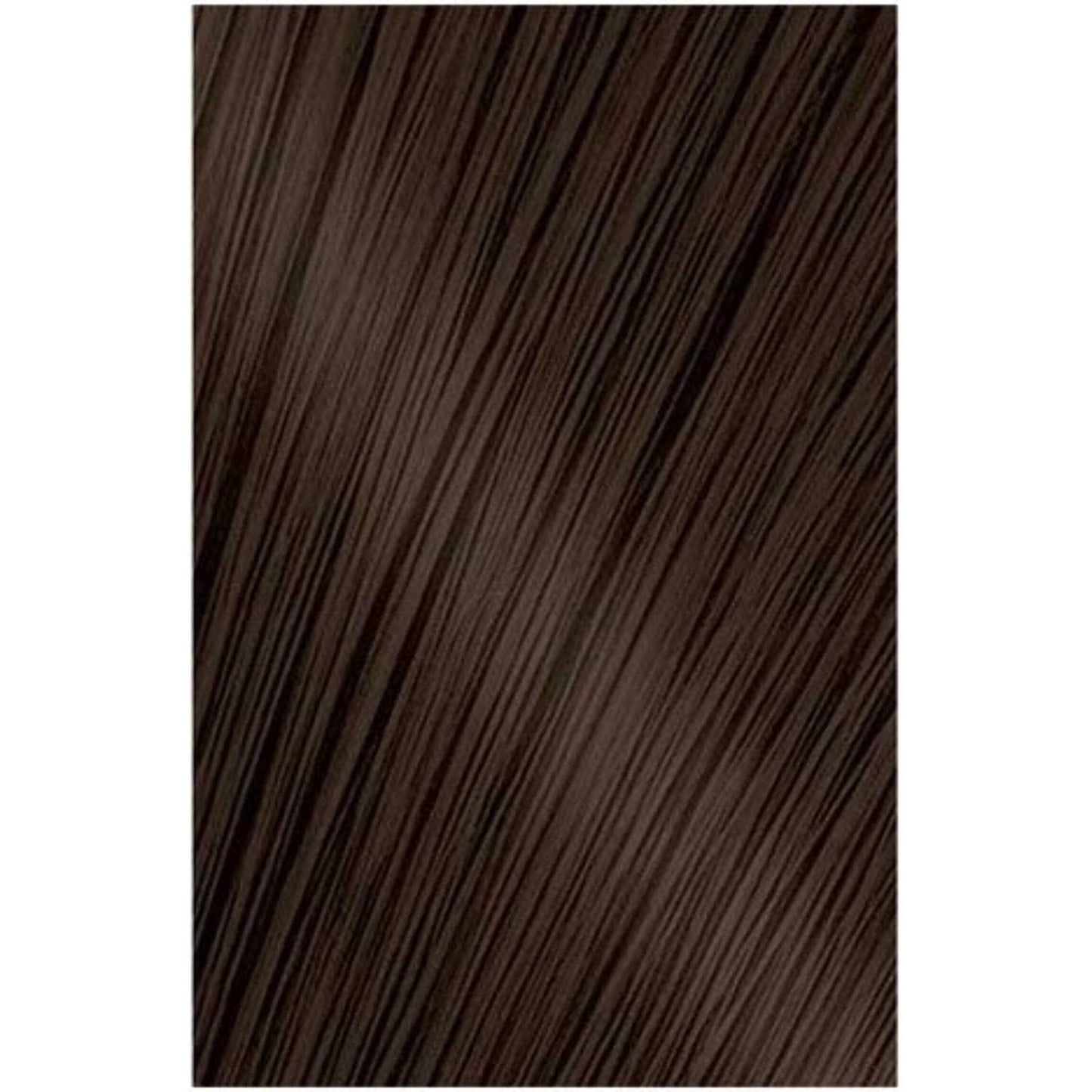 Bigen Easy Color Mocha Brown 4N