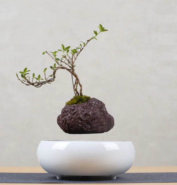 Style Loft Collection Floating Flower Pot