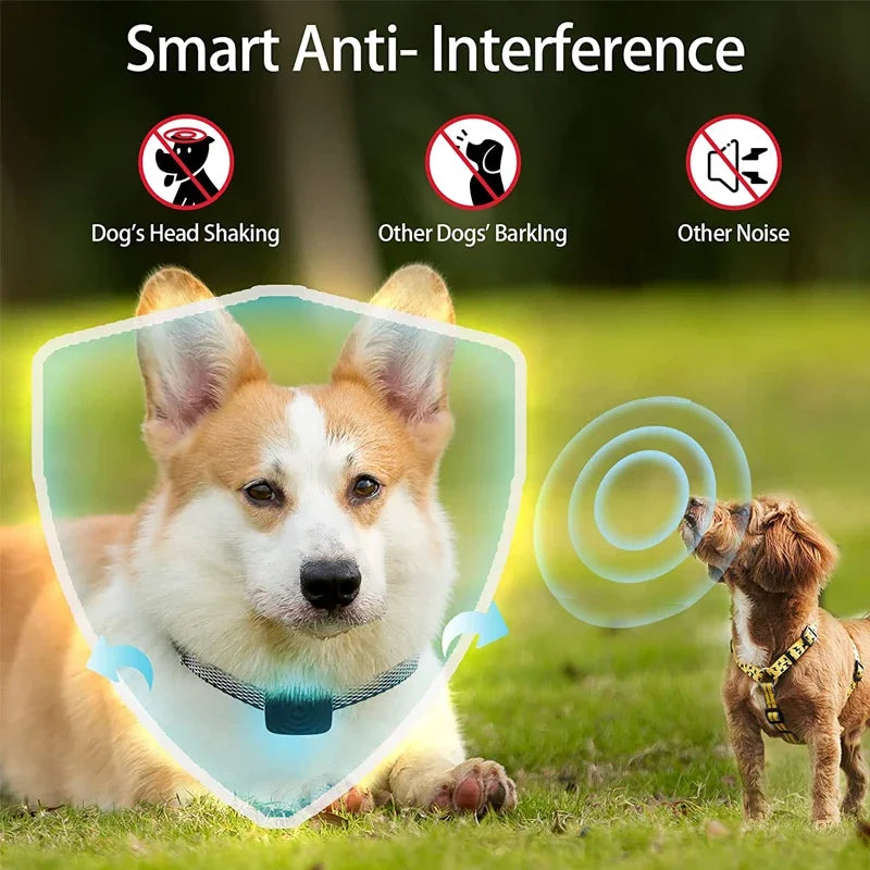 Pet Dog Anti Bark Device USB Ultrasonic Intelligent Electric Training Stop Barking Vibration Water Proof Collar Pet Products