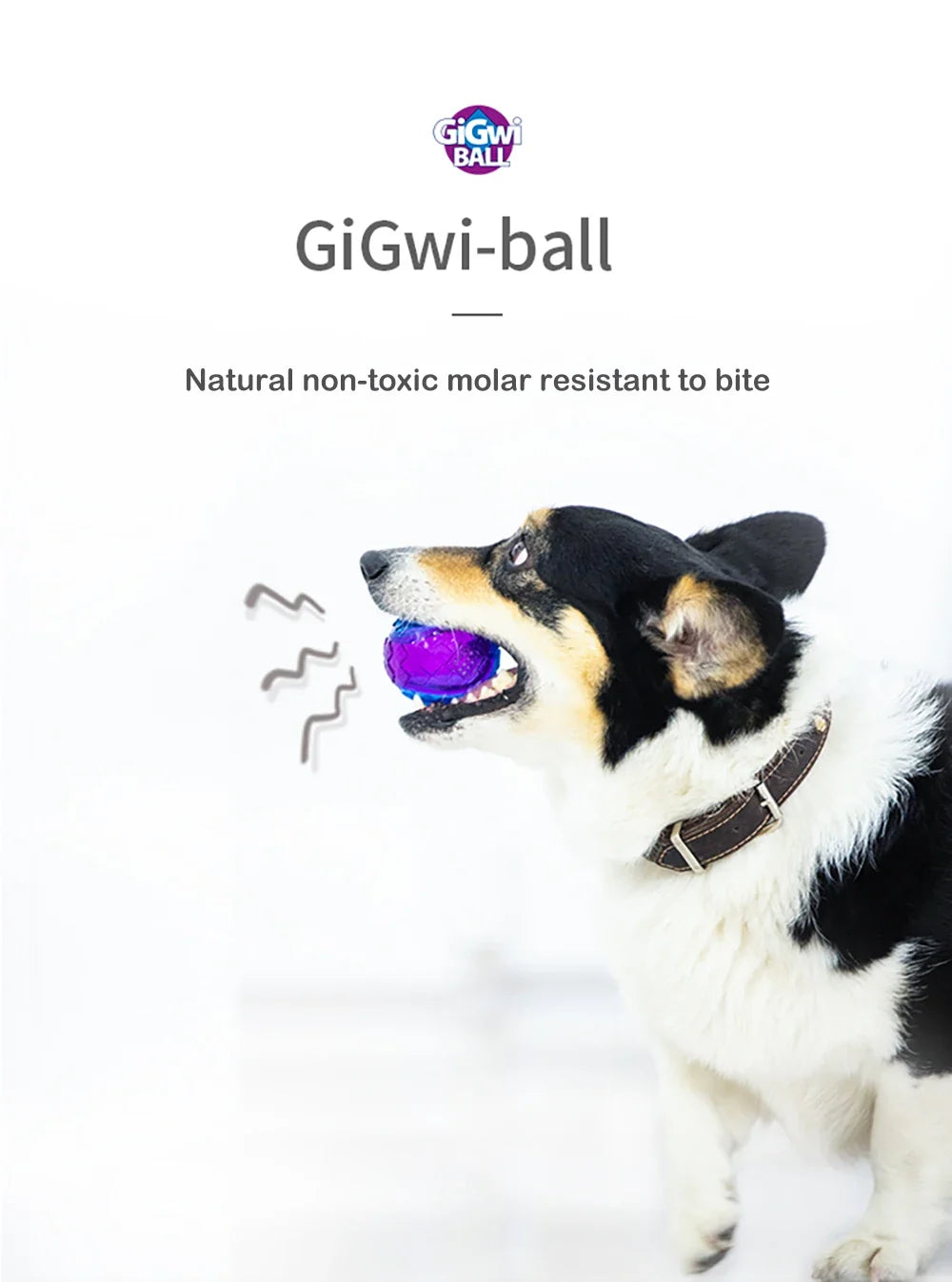 Pet Dog Squeaky Toys Ball Puppy Chew Toys Sound Pure Natural Non-toxic Rubber Outdoor Play Small Big Dog Funny Elasticity Ball