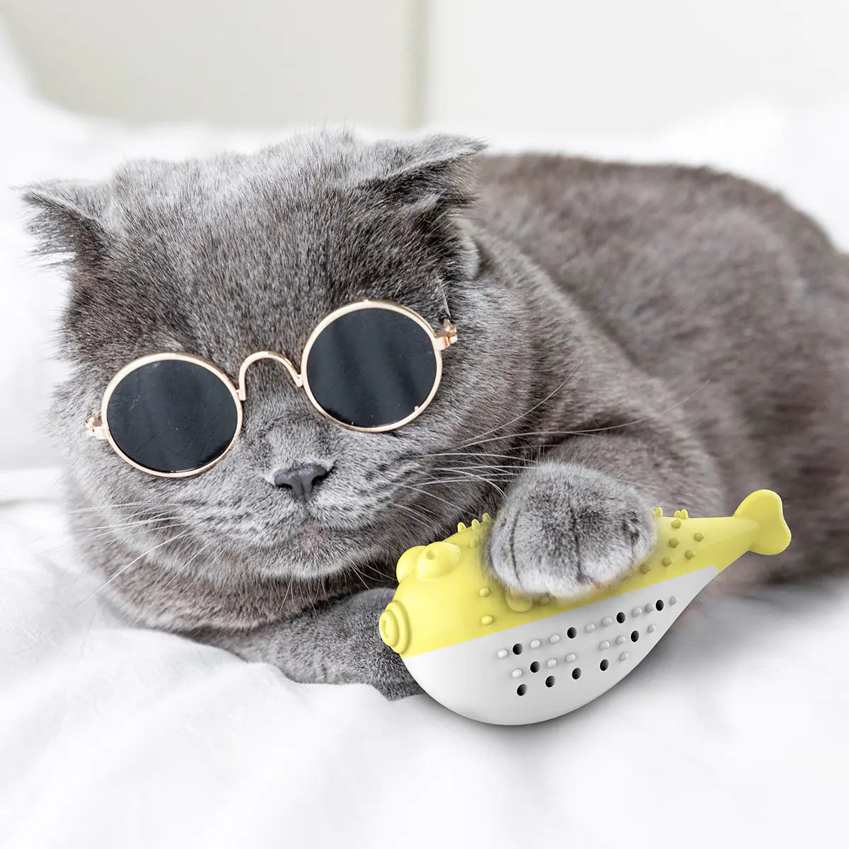 Style Loft Collection Fishy Mint Cat Toothbrush Chewy