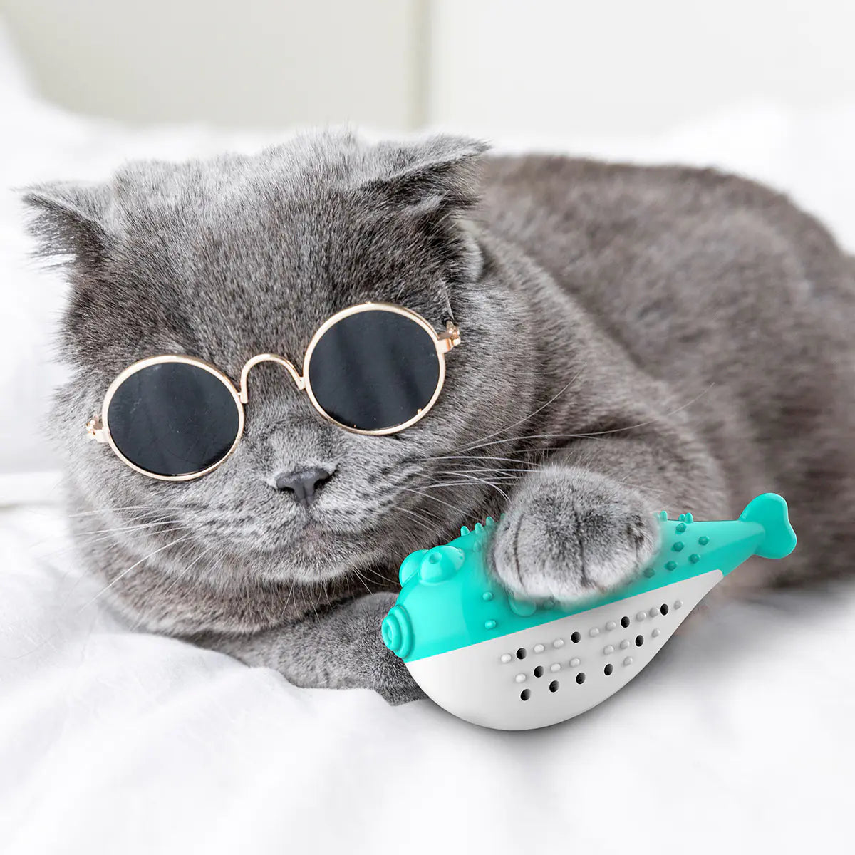 Style Loft Collection Fishy Mint Cat Toothbrush Chewy