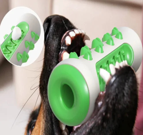 Style Loft Collection Dog Molar Chew Toothbrush