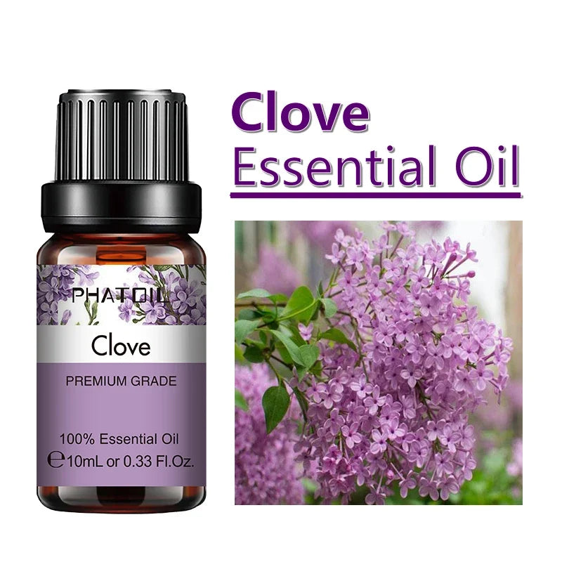 PHATOIL 10ml Ginger Essential Oil for Perfume Candles Making Spa Massage Humidifier Rose Jasmine Pine Needles Tangerine Thyme