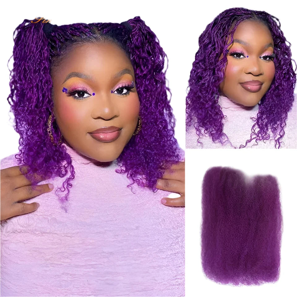 Rebecca Afro Kinky Bulk Human Hair for Braiding | Remy Virgin Brazilian Extensions (Multi-Color)