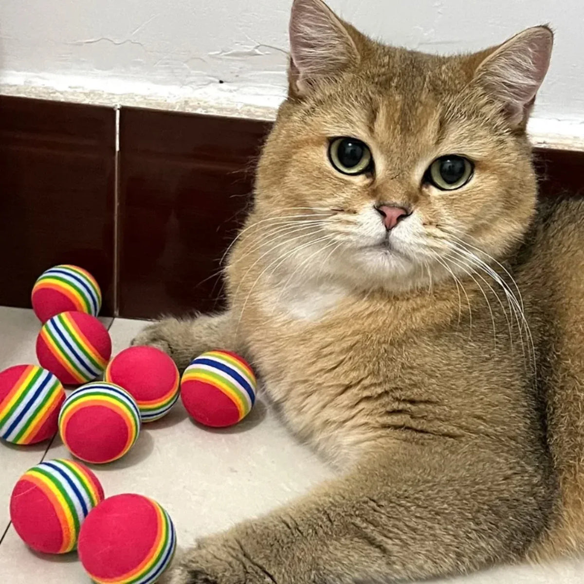 10-100x Colorful Cat Toy Ball EVA Bite-Resistant Elastic Rainbow Ball Kitten Puppy Chewing Training Interactive Toy Pet Supplies