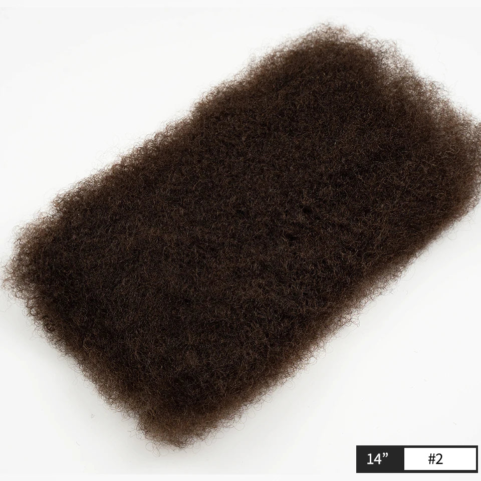 Rebecca Afro Kinky Bulk Human Hair for Braiding | Remy Virgin Brazilian Extensions (Multi-Color)