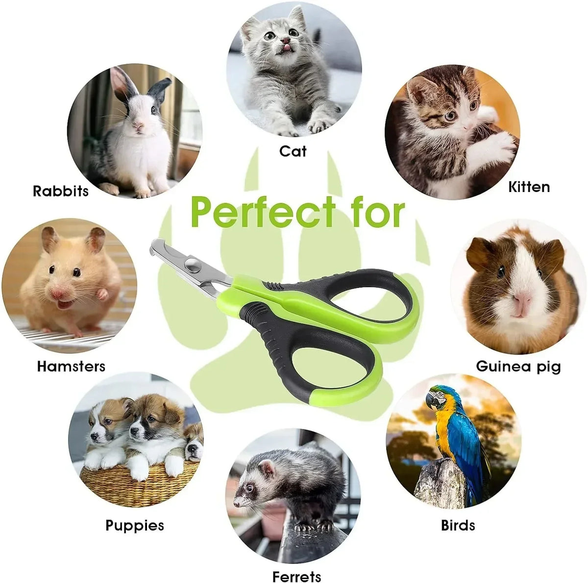 Hot Sale Cat Nail Toe Claw Clippers Trimmer Grooming Tools Animals Pet Supplies Stainless Steel Dog Nail Clipper Scissors