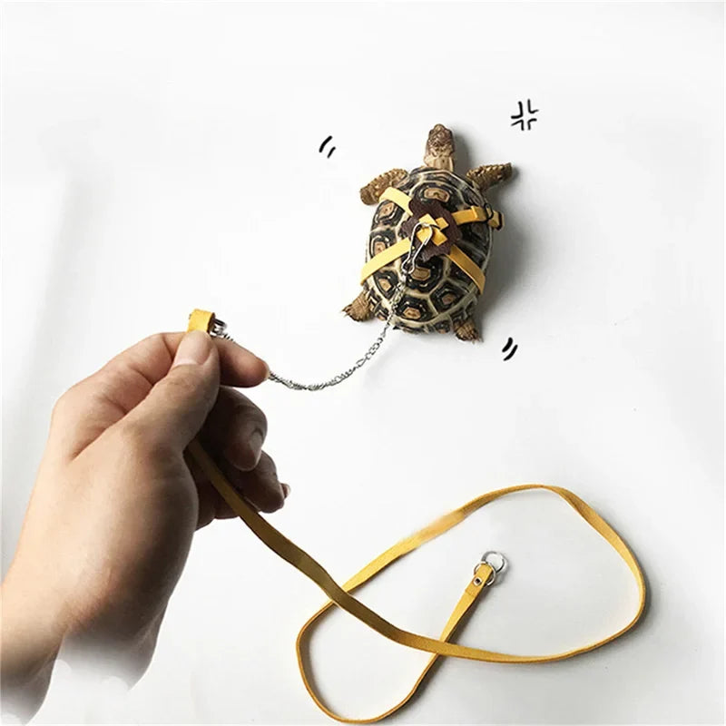 Turtle Traction Belt Control Rope Training Belt Outdoor Walking Leash  Harness Reptile Leash Pet Supplies PU Leather