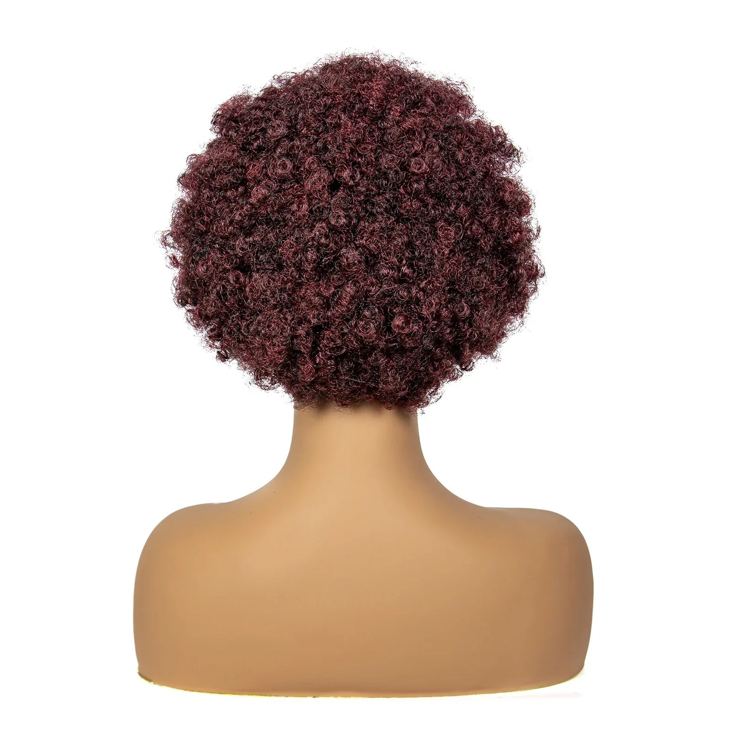 Burgundy Afro Curly Braids Bob Wig | 13x6 Lace | Baby Hair | Bouncy Curls