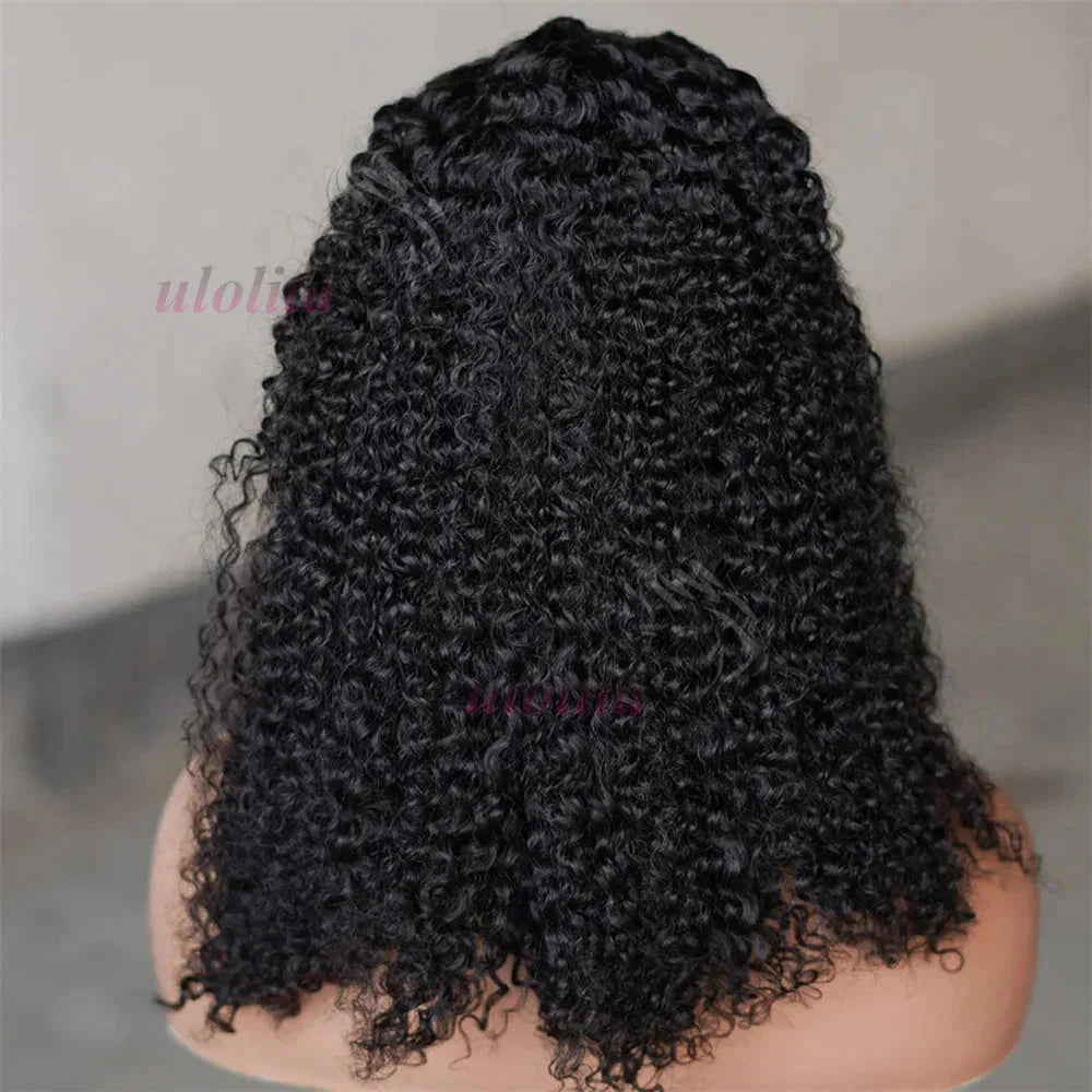 Kinky Curly Braided Bun Wig | 13x4 Lace Front | Human Hair | Remy | 210 Density