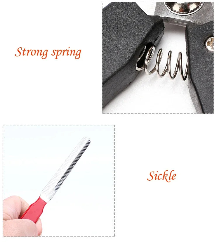Pet Nail Clippers with Sickle Large Dog Nail Clippers Nail Clippers Multifunctional Teddy Cat Stainless Steel Grooming Scissors