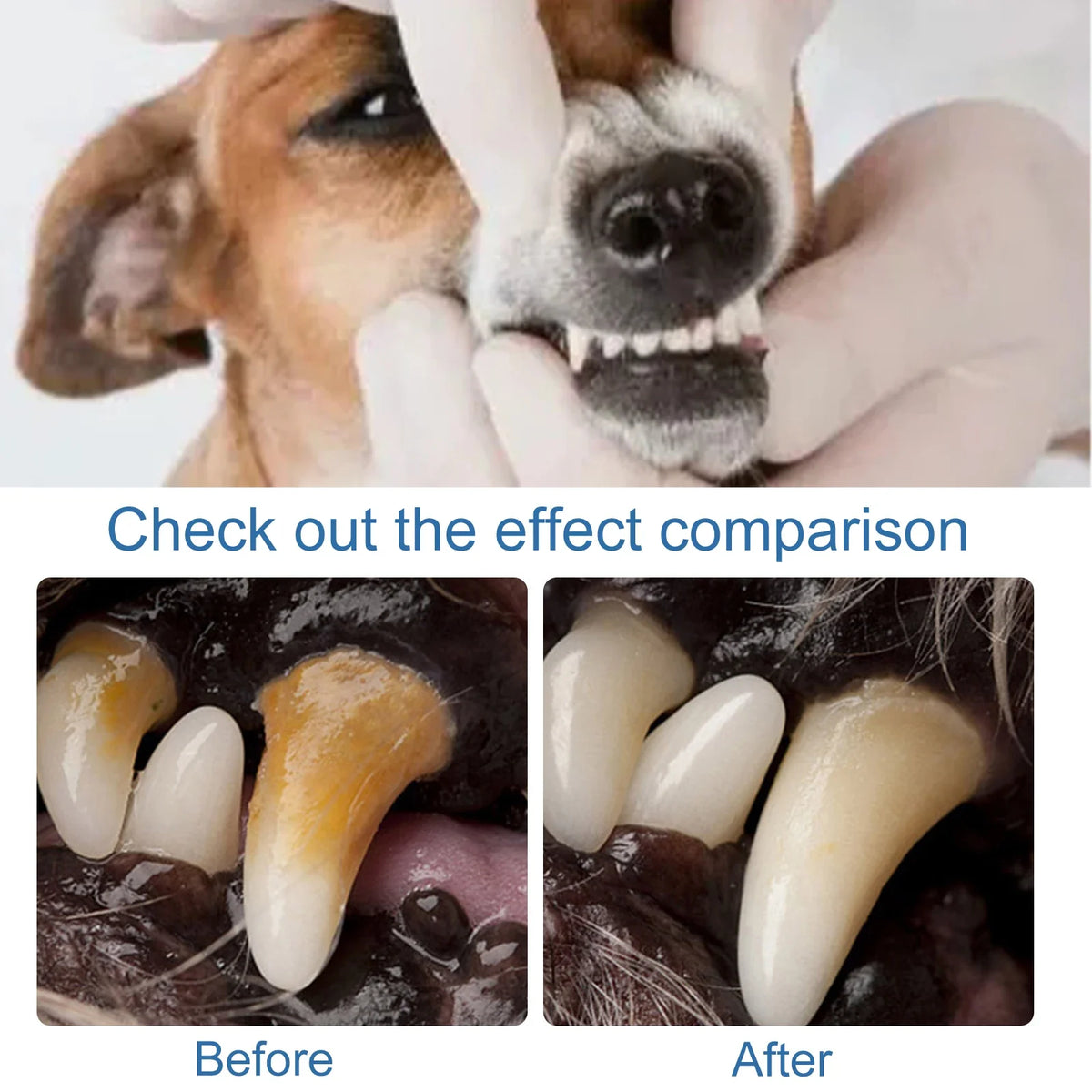 Pet Oral Tartar Remover Spray Deep Clenaing Yellow Teeth Eliminate Bad Breath Fresh Breath Whitening Teeth Pet Oral Foam Cleaner