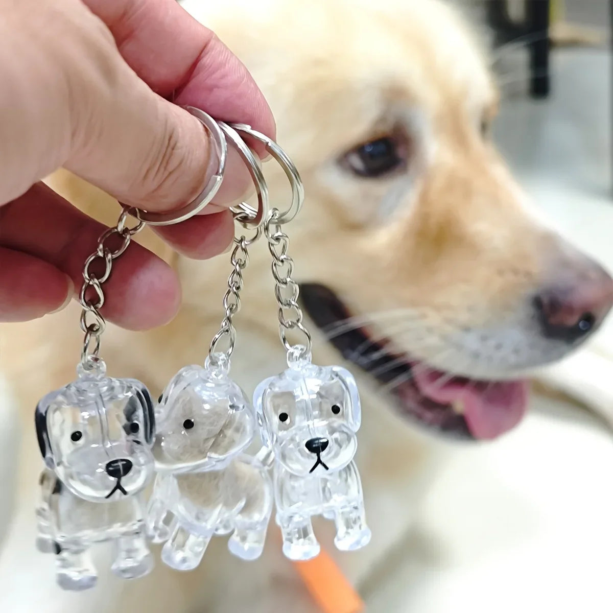 Transparent Dog Hair Storage Pendant Dog Hair Collector Keychain Pet Hair Memorial Bottle for Pet Lovers DIY Memorial Keychain