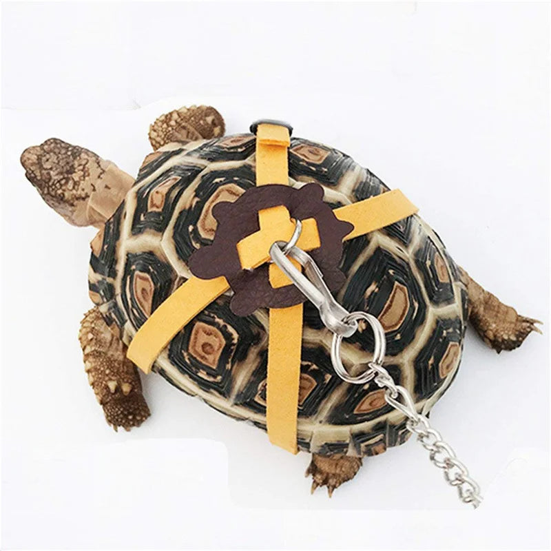 Turtle Traction Belt Control Rope Training Belt Outdoor Walking Leash  Harness Reptile Leash Pet Supplies PU Leather